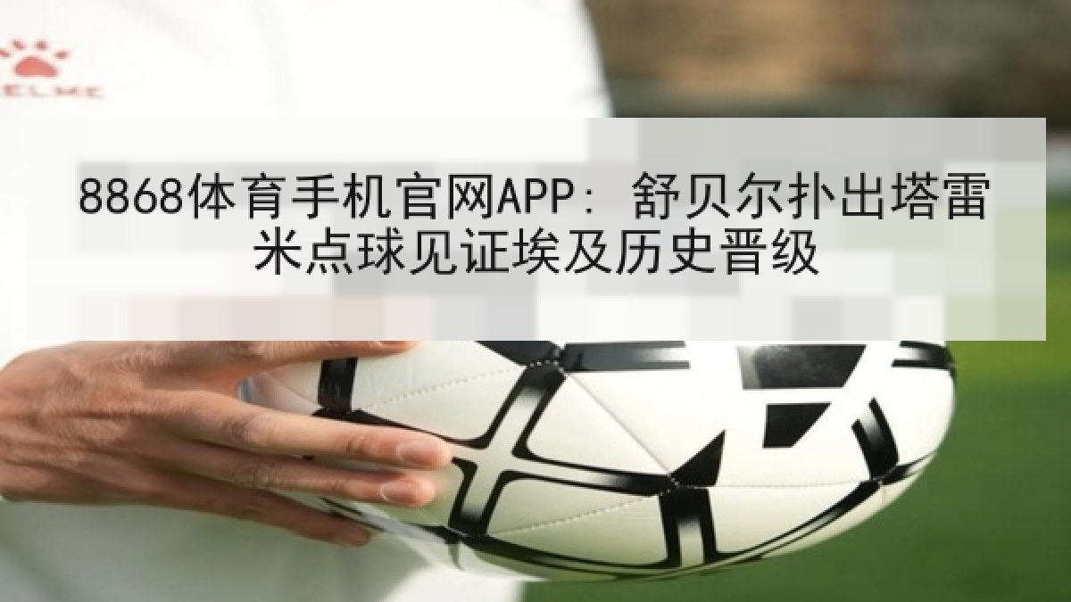 8868体育手机官网APP: 舒贝尔扑出塔雷米点球见证埃及历史晋级