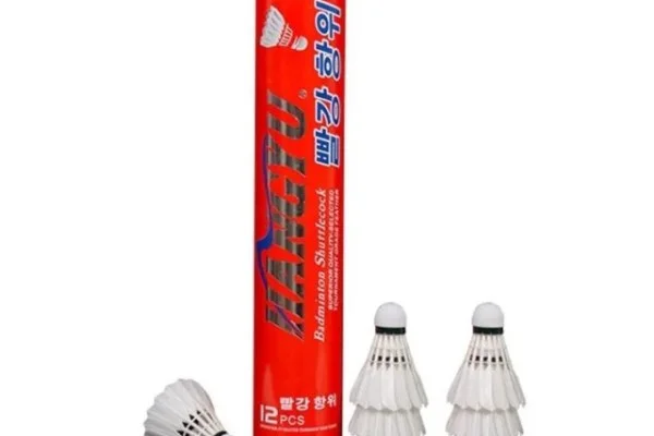 艾菲内普尔公路世锦赛计时赛封王 彩虹衫上身与赛季深度复盘